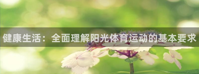 风速体育