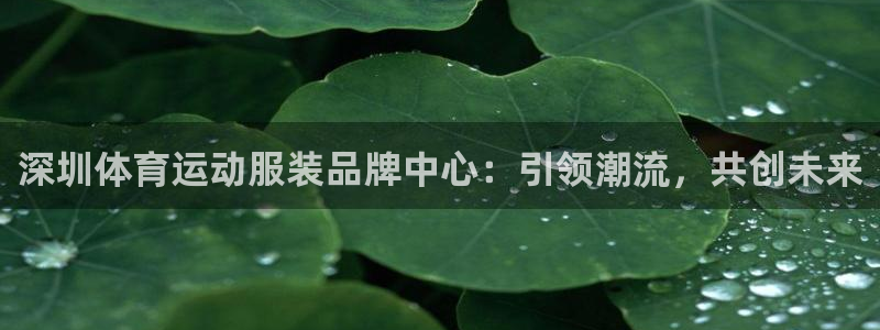 风速体育app官方下载：深圳体育运动服装品牌中心：引领潮流，共创未来