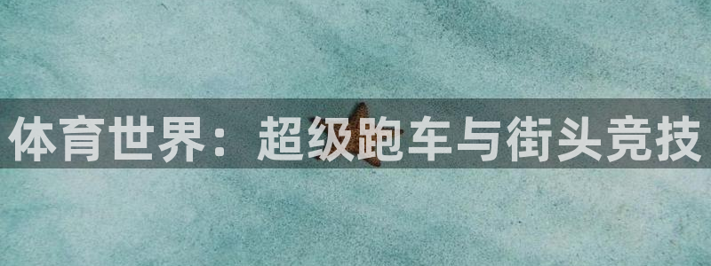 风速体育：体育世界：超级跑车与街头竞技