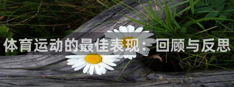 风速体育官网：体育运动的最佳表现：回顾与反思