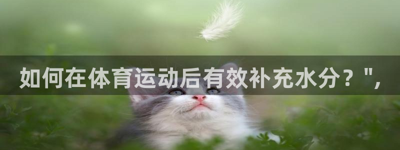 风速体育app下载安装最新版本：如何在体育运动后有效补充水分？\