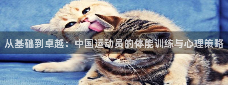 风速体育直播app：从基础到卓越：中国运动员的体能训练与心理策略
