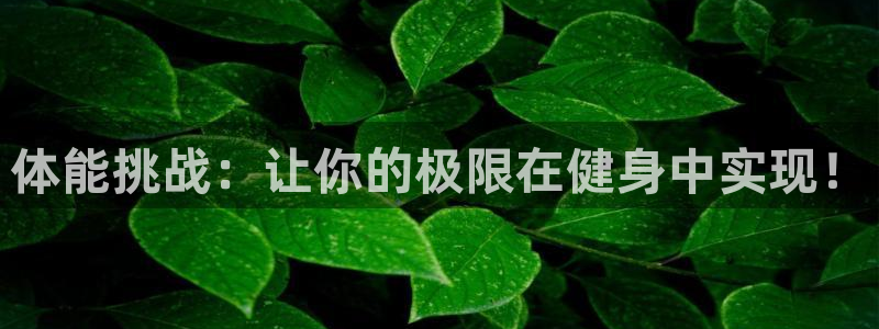 风速体育app：体能挑战：让你的极限在健身中实现！