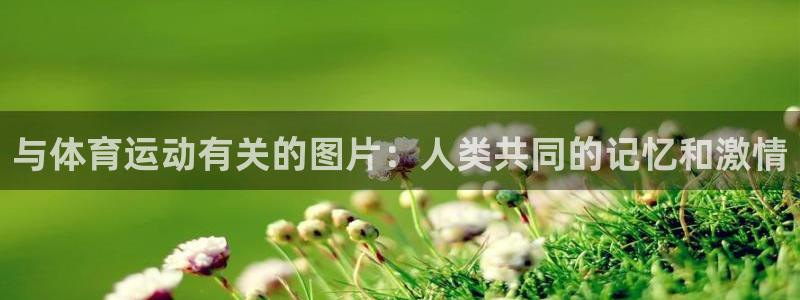 风速体育app：与体育运动有关的图片：人类共同的记忆和激情