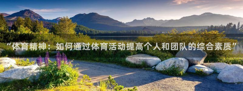 风速体育nba直播：“体育精神：如何通过体育活动提高个人和团队的综合素质”