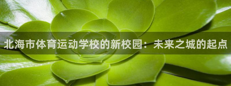 风速体育app：北海市体育运动学校的新校园：未来之城的起点