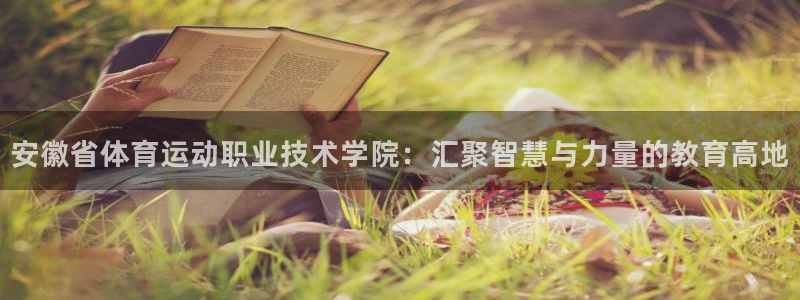 风速体育cba直播：安徽省体育运动职业技术学院：汇聚智慧与力量的教育高地