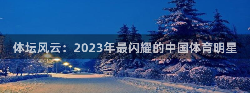 风速体育app下载官网最新版：体坛风云：2023年最闪耀的中国体育明星