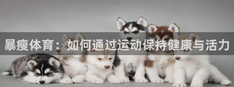 风速体育直播app：暴瘦体育：如何通过运动保持健康与活力