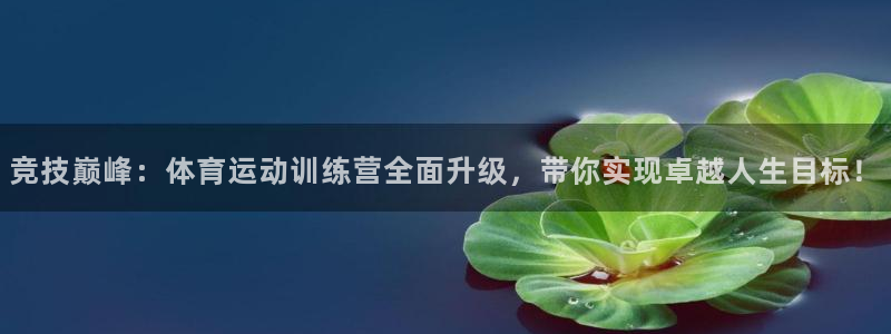 风速体育nba免费直播：竞技巅峰：体育运动训练营全面升级，带你实现卓越人生目标！